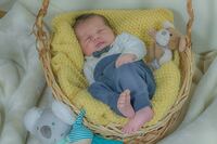 comp_Newborn_Konrad (1)