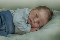 comp_Newborn_Konrad (9)